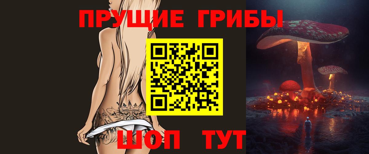 Бугуруслан  где купить наркоту  Псилоцибиновые грибы прущие грибы  Вход с VPN  Псилоцибиновые грибы Cubensis 